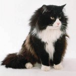 Количество: какво да правя? Количество: какво да правя?