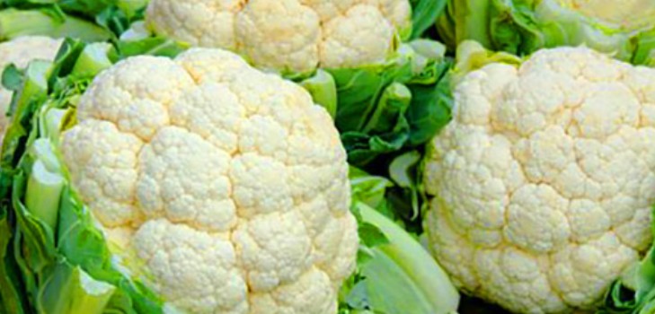 Карфиол, кълнове, отглеждане и грижи