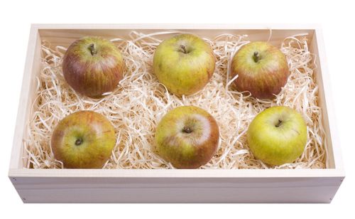 Как да държим ябълките през зимата вкъщи