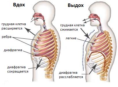 Как да се научите да пеете сами?