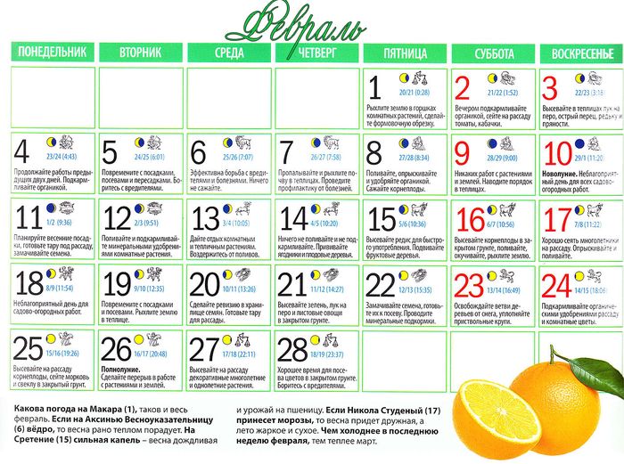 Лунен календар на камиона: февруари 2016 г. за региона на Москва, средната зона на Русия, северозапад, Урал, Сибир, Беларус, Украйна
