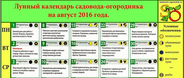 Селскостопански фермер от лунен календар за август 2016 г. за района на Москва, средната зона на Русия, Урал, Сибир, северозапад, Беларус и Украйна Селскостопански фермер от лунен календар за август 2016 г. за района на Москва, средната зона на Русия, Урал, Сибир, северозапад, Беларус и Украйна