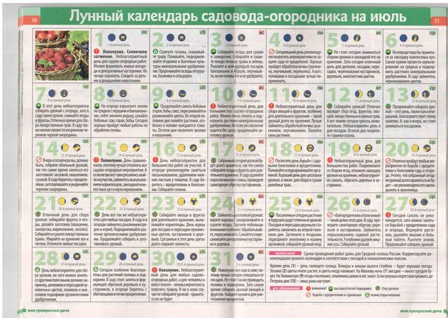 Лунен календар на градинаря в средния обхват на 2015 г.