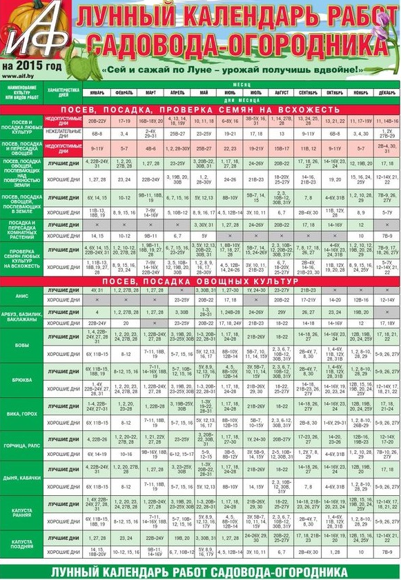 График на градинаря за юли 2015 г.