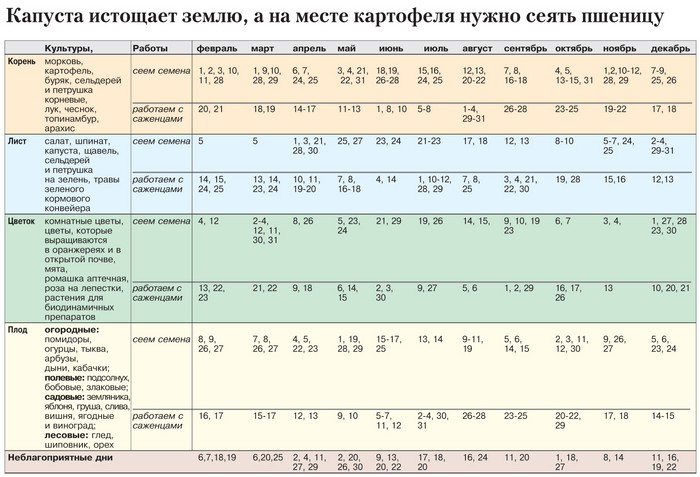 Лунният календар на градинаря градинар през октомври 2015 г.