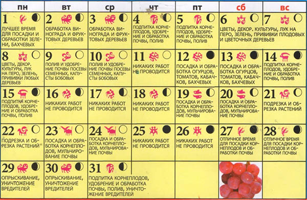 Календар на лунните семена за май 2017 година