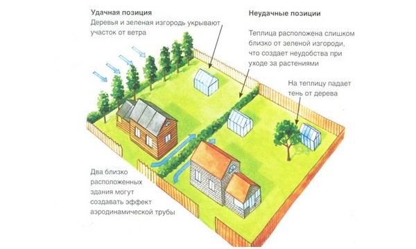 Оранжерия от прозоречни рамки по собствени ръце - инструкции стъпка по стъпка с фото и видео