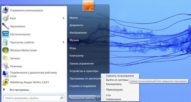 прозорци на програмата