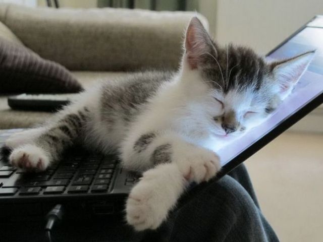 Как да изключите режима на заспиване в Windows 7 Как да изключите режима на заспиване в Windows 7