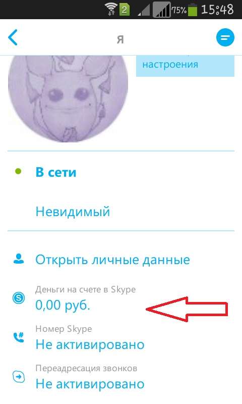 как да използвате Skype на телефона си, как да инсталирате Skype на телефона си.
