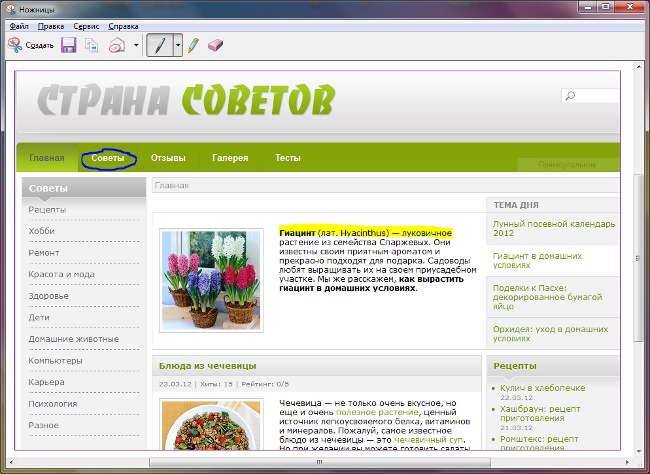 Ножици: направете екранна снимка в Windows 7
