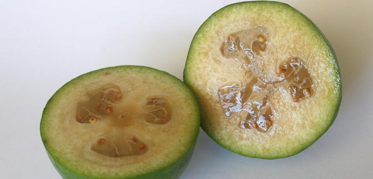 Feijoa - полезни свойства, ползи и вреди от feijoa