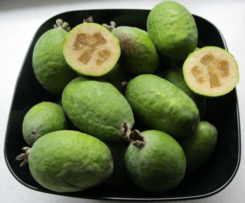 Feijoa - полезни свойства, ползи и вреди от feijoa