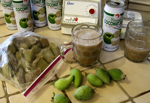 Feijoa - полезни свойства, ползи и вреди от feijoa