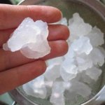 Индийски морски ориз Индийски морски ориз