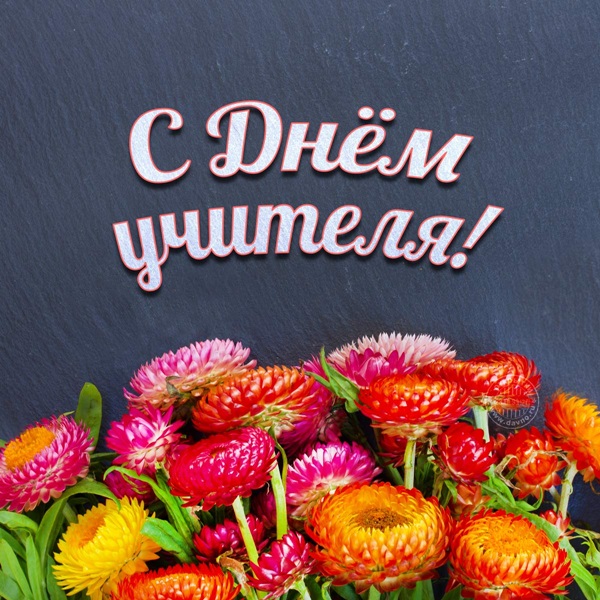 Красиви и забавни снимки - поздравления за Деня на учителя 2017