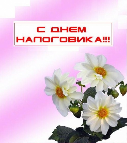 Официални и забавни поздравления за Деня на данъчния работник в стих и проза