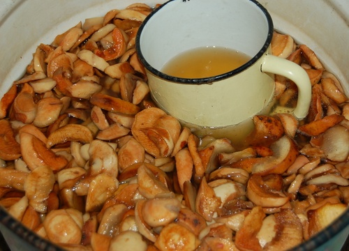 Вкусни и прости рецепти от квас на бреза сок