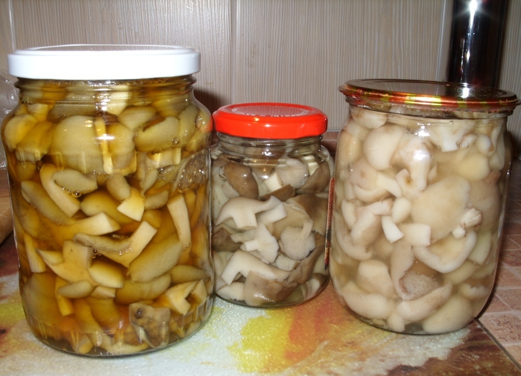 Мариновани гребци
