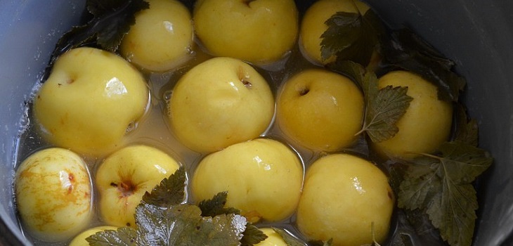 Рецепта за мокри ябълки