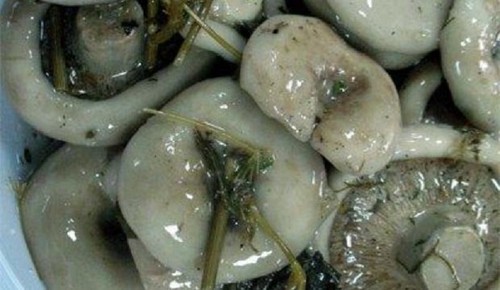 Стафиди за зимата: вкусни и прости рецепти за готвене