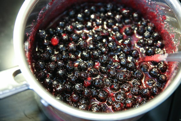 Замръзване от черен chokeberry