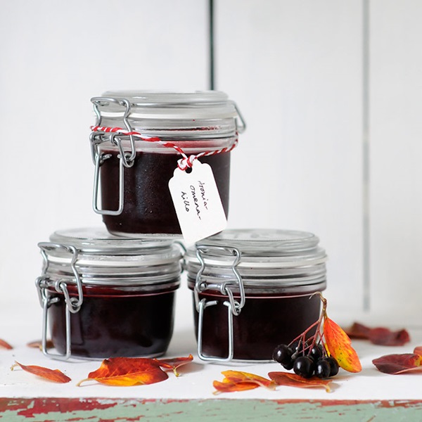 Замръзване от черен chokeberry