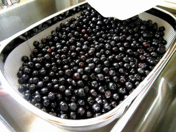 Замръзване от черен chokeberry