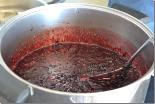Замръзване от черен chokeberry