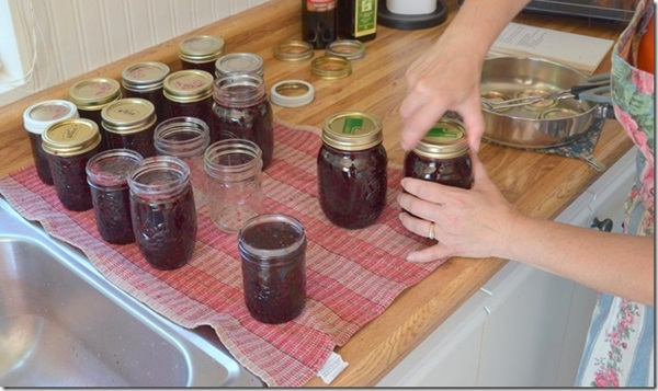 Замръзване от черен chokeberry