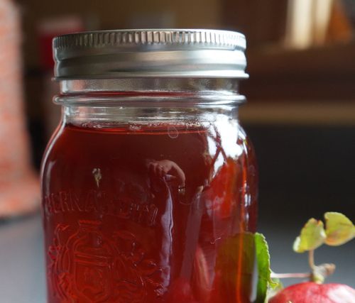 Замръзване от ябълки и chokeberry