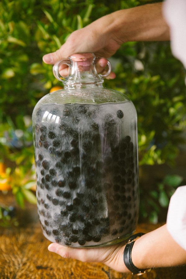 Домашно вино от chokeberry