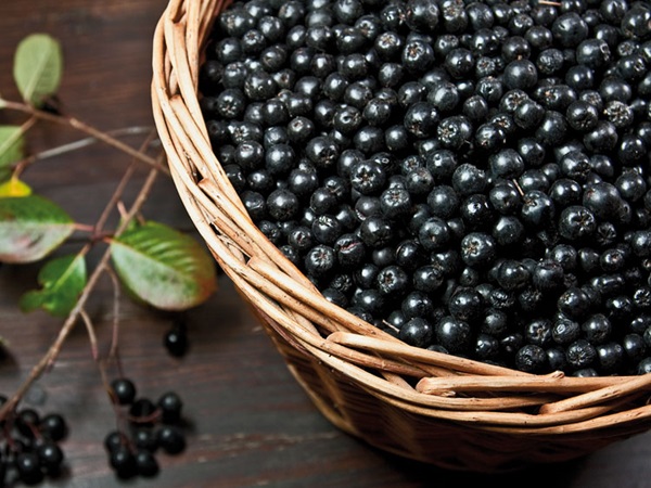 Домашно вино от chokeberry