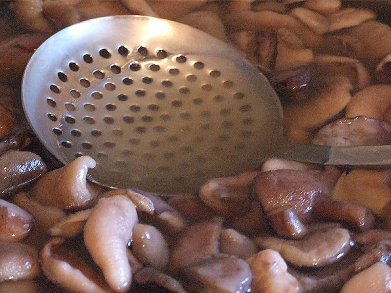 Маслоданни