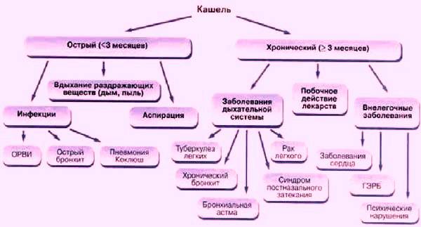 Как бързо да се излекува кашлица у дома, ефективни народни средства