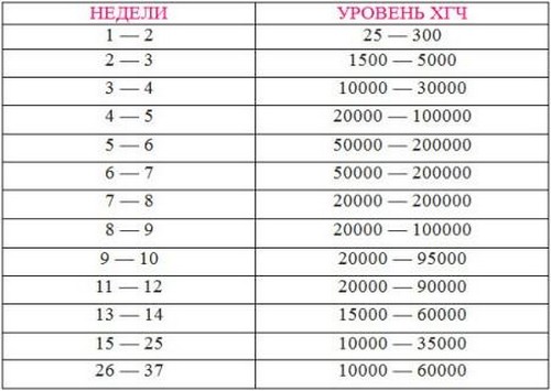 HCG по време на бременност