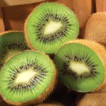 Kiwi диета за отслабване Kiwi диета за отслабване