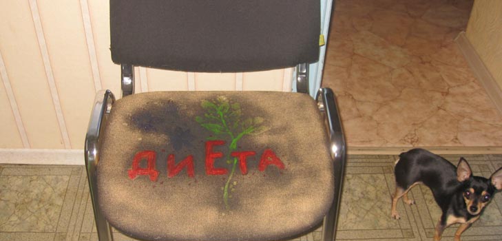 Седяхме на диета: как да се държим на посещение?