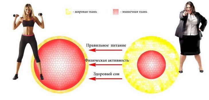 Как да разпознаете и какво да направите в случай на метаболитни нарушения