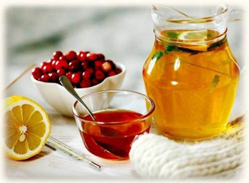 Bearberry: лекарствени свойства, приложение, снимка