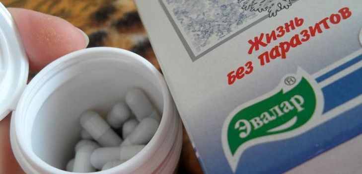 Антипаразитно лекарство е Troychchatka Evalar. Състав. Инструкции. Отзиви