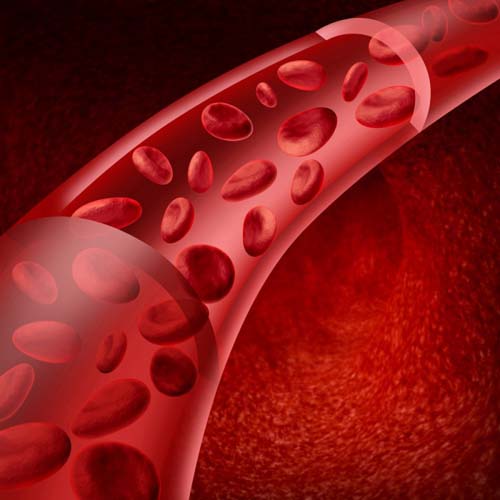 Vasculitis - какво е това? Симптоми, снимки, лечение